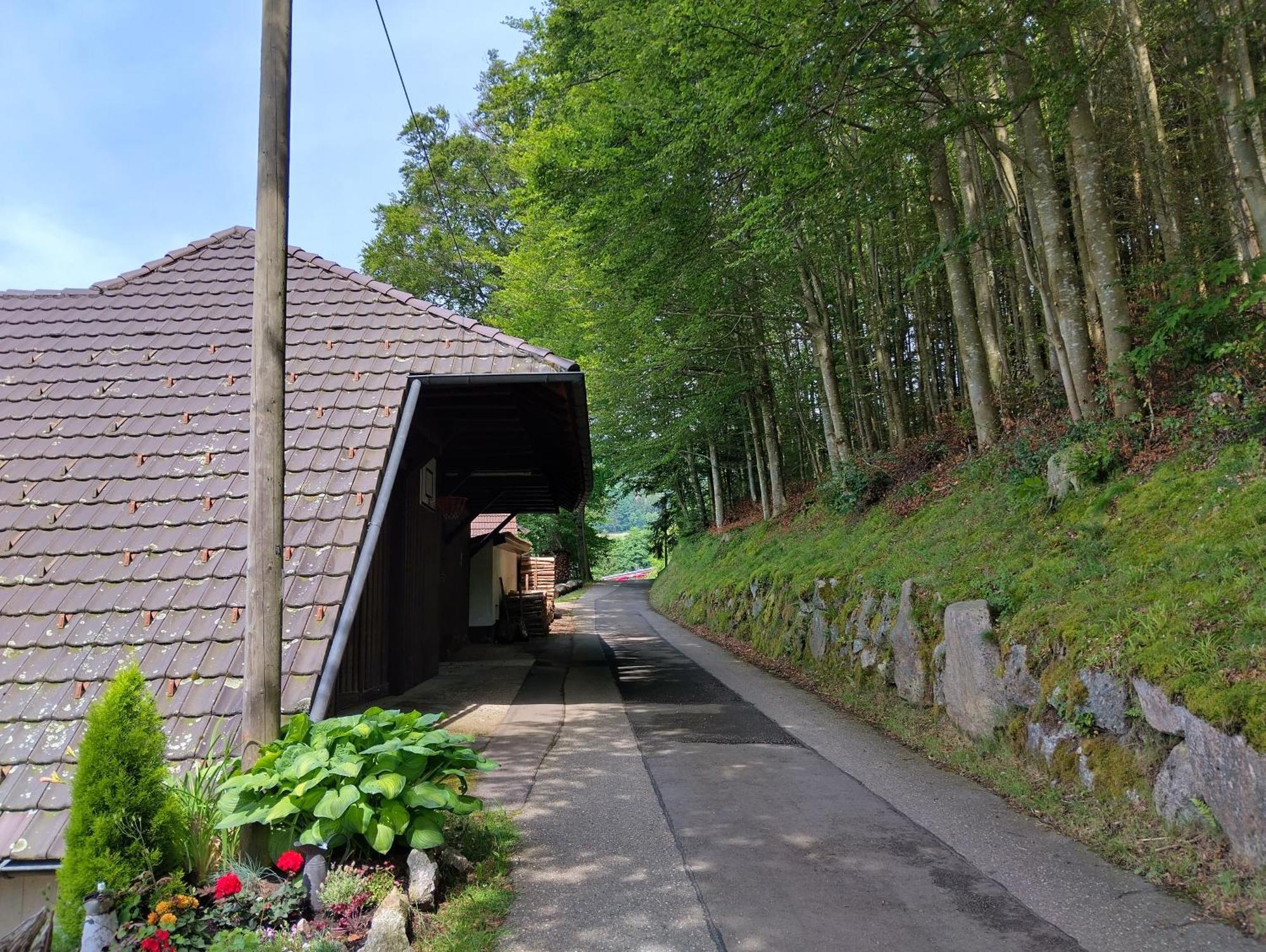 Haus "Guck - Ins - Tal" Apartment Sasbachwalden Exterior foto