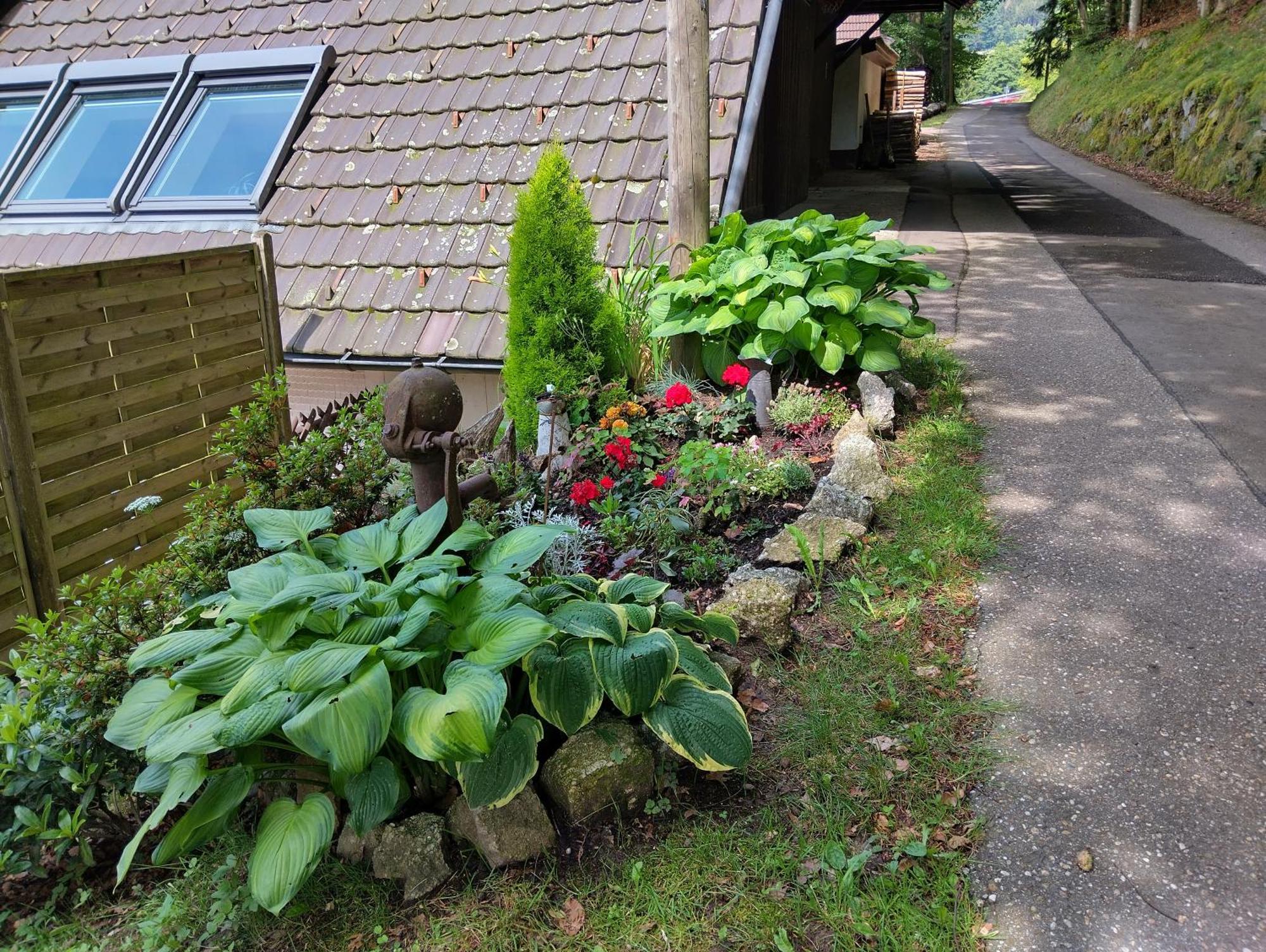 Haus "Guck - Ins - Tal" Apartment Sasbachwalden Exterior foto