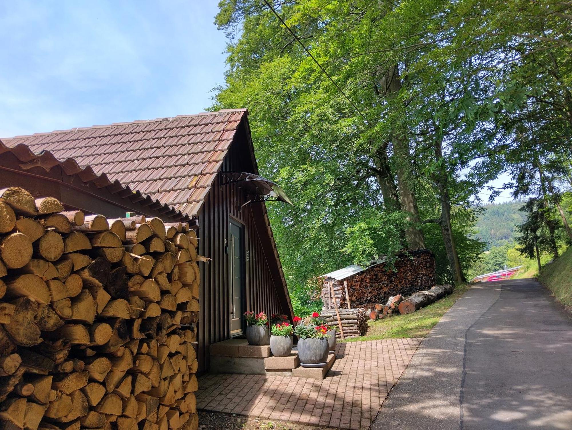 Haus "Guck - Ins - Tal" Apartment Sasbachwalden Exterior foto